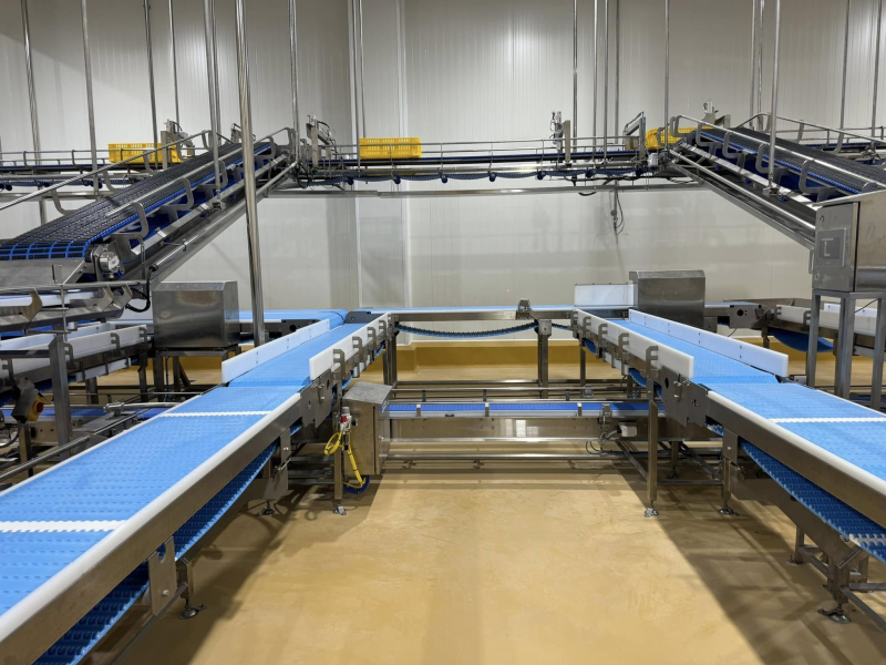 New Project 2024 | Modular Belt for Pork Industry